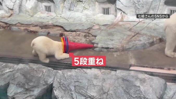 5段重ねの三角コーンもかぶって突進！