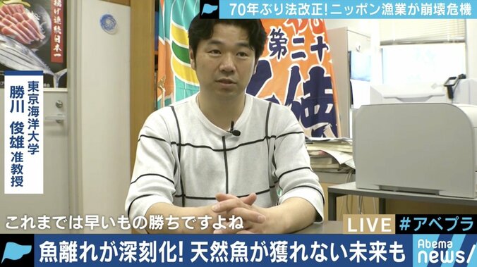 漁獲高制限で値段は？養殖ものの価値が上がる？70年ぶりの法改正と日本の漁業の未来は 2枚目