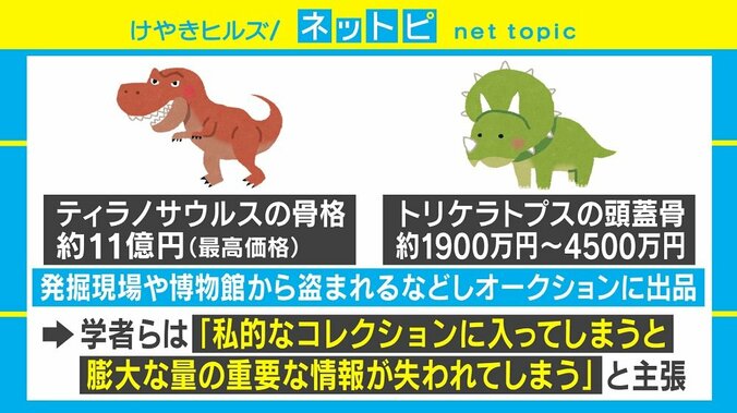 セレブの“化石集め”に学者らが「売買中止」訴え、歴史学者「気持ちはもの凄くわかる」 3枚目