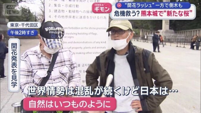 開花発表を見学