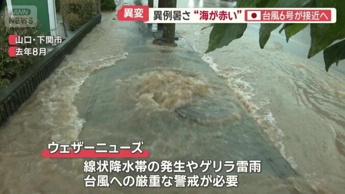 ウェザーニューズは
