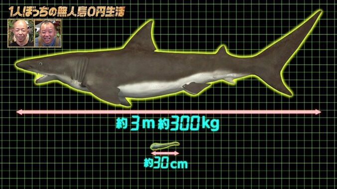ナスD、崖からサメを狙い…水中カメラで撮った貴重映像！ 大きさは約3メートル、体重300kg以上か 6枚目