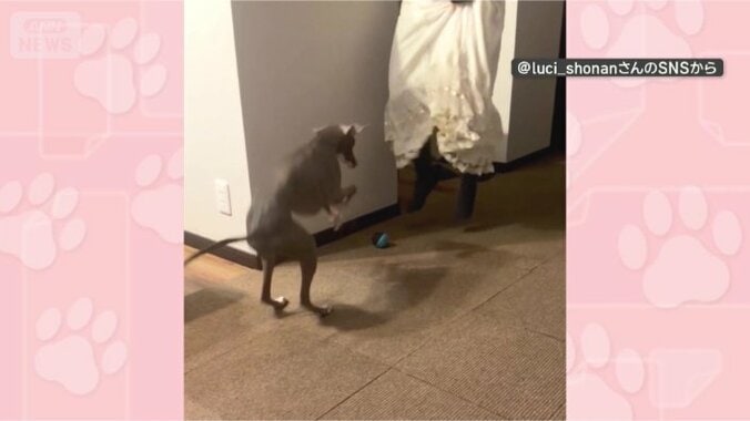 きょうも一緒に！