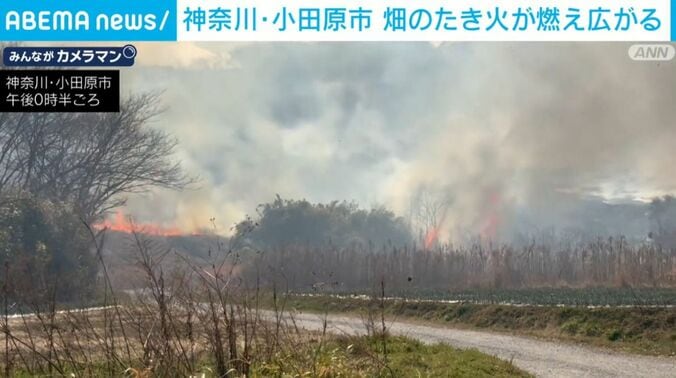 たき火が広がった畑の様子