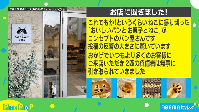 パン屋で見つけた“かわいい負傷者”「素晴らしい」「ユニークなアイデア」と話題 販売店「無事に引き取られていきました」 2枚目