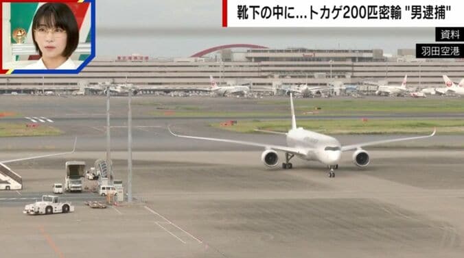 羽田空港