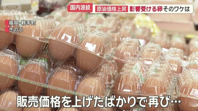 今年6月には、1割以上価格を上げて販売