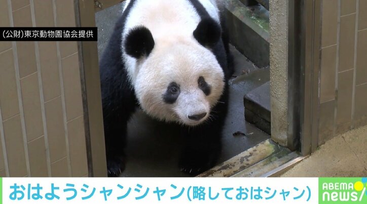 上野動物園、“パンダの日”にオンラインイベント開始！ 毎朝シャンシャンが見られる「#おはようシャンシャン」配信も
