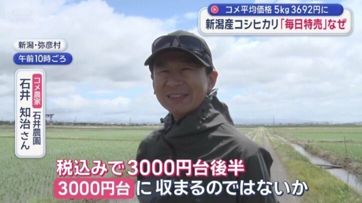 3000円台で新米が買えるのではないかと予想
