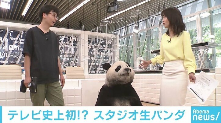 リアルすぎる「パンダ」 試行錯誤を経て完成、レンタルは100万円から