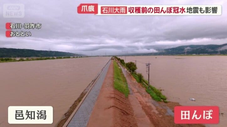 田んぼと川が同じ高さに