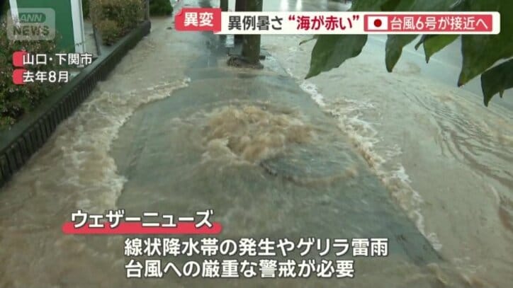 ウェザーニューズは