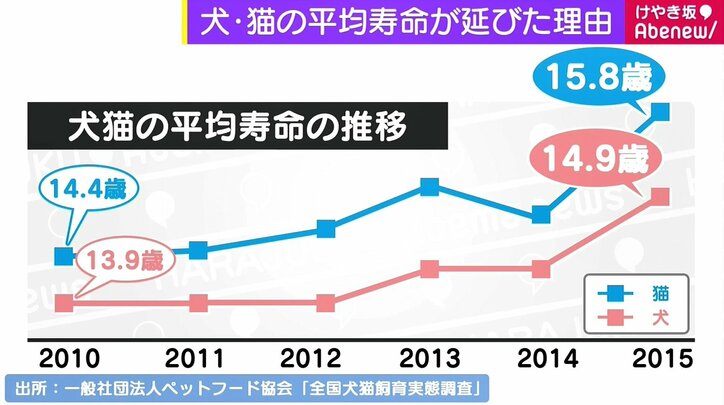 1万匹以上の装具を制作 日本初の動物義肢装具士 島田旭緒さん きっかけは義眼 指を失った祖父 国内 Abema Times