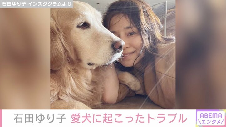 石田ゆり子、愛犬が自宅でお風呂に閉じ込められるトラブル「血の気が引きました」「何もかも私のミス」