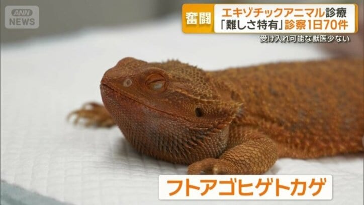 命に関わる病気をわずらっていた