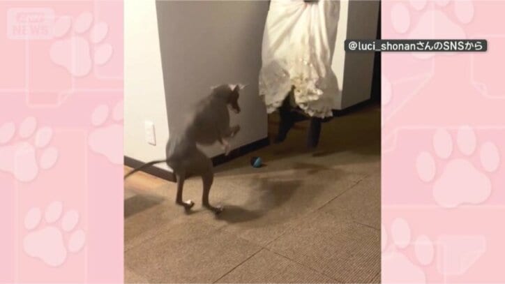 きょうも一緒に！