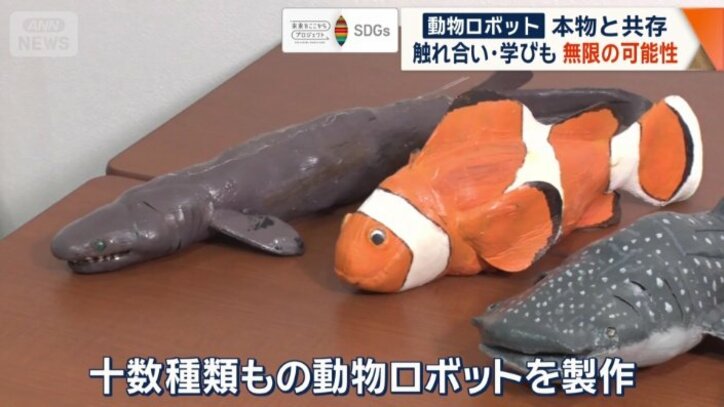 クマノミなど十数種類の動物ロボットを製作