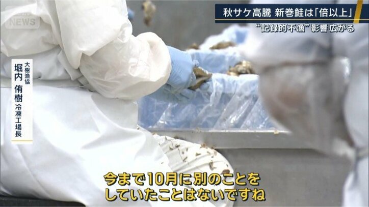 大樹漁協 堀内侑樹冷凍工場長