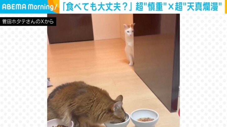 ホタテちゃんと菅田くん