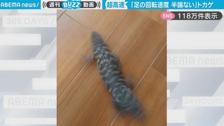 【写真・画像】「かわいすぎて何回も見ちゃう」横揺れする娘 vs ご飯をあげたい夫！愛おしいバトルの行方は？意外な解決策にほっこりする人続出　1枚目