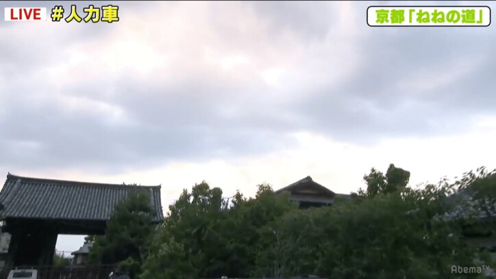 稲垣、草なぎ、香取が”絵になる京都”観光「歳を重ねてからの京都って感じるものが違う」