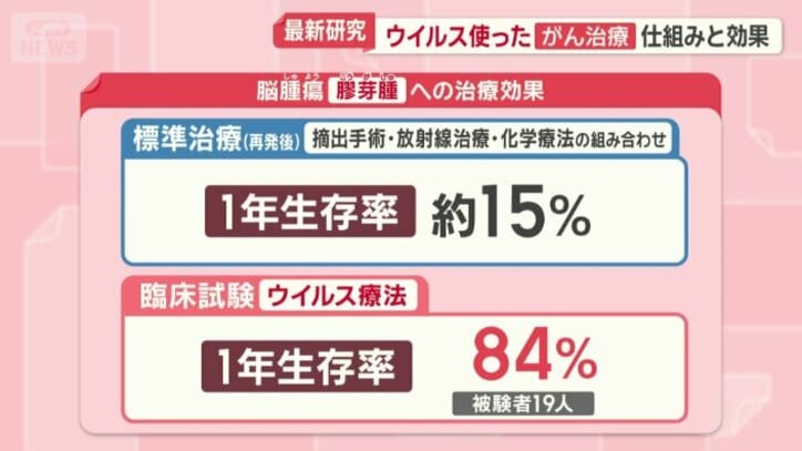 膠芽腫への治療効果