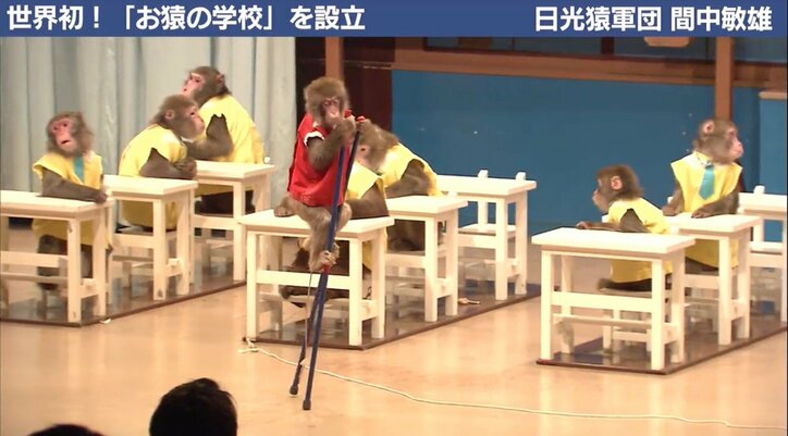 猿の移動用に3億円のヘリを購入!「日光猿軍団」創業者の驚きの人生
