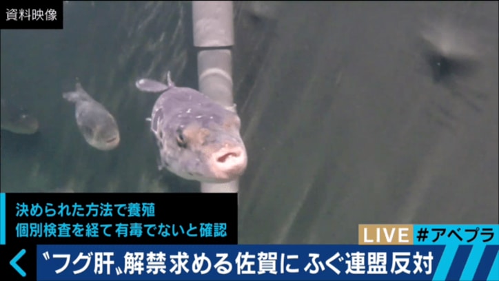 佐賀県 フグ肝販売解禁 要求が波紋 県庁担当者が裏側語る その他 Abema Times