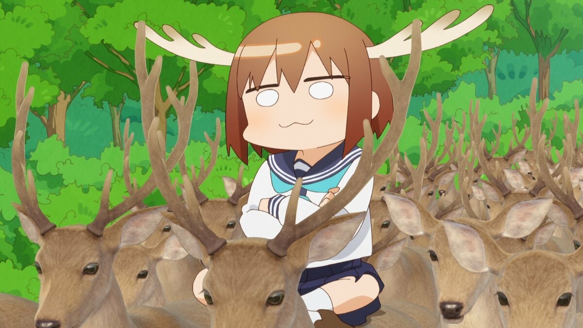 しかのこのこのここしたんたん」作者・おしおしお先生とは？X