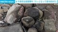 女子高校生殺害事件 「カッとなって首を絞めた」