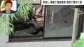 肝試し、廃墟で遺体を発見…死後約10年経過とみられる白骨 「廃墟になぜ人がいたのかが肝心」元刑事が見解
