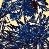 稲垣吾郎、香取慎吾考案の“ぬり絵アート”に参加しファン「 お見事です!!」「すごく素敵です」