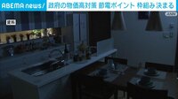 政府物価対策 節電ポイント枠組み決定