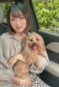 布川敏和『預かり犬~u•ᴥ•u』