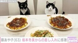 藤あや子、“相方”坂本冬美からの差し入れに感激「お店で食べるより美味しい」
