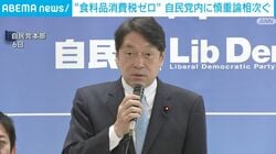 “食料品消費税ゼロ” 自民党内に慎重論相次ぐ