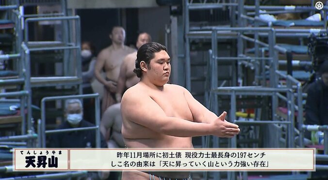 「まわしの位置が上すぎる」“超”長身力士、ただならぬ存在感に驚き「足も手もながい」「これは規格外」 4枚目