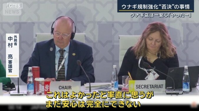 外務省　中村亮審議官