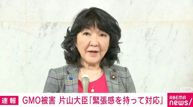 片山さつき大臣