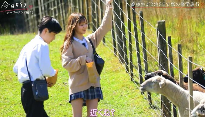 【写真・画像】一度フラれた男子とドキドキの再会「黒髪が好きって言ってたから…」未練たっぷり…かわいすぎるイメチェンアピールも『今日好き ニュージーランド編』第1話　3枚目