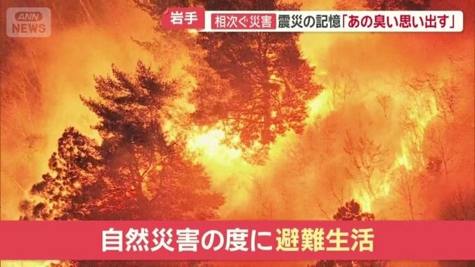 津波、地震、そして山林火災