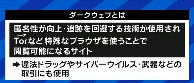 「アノニマスはロシア国民の情報発信・受信のためのサポートを」安易にサイバー攻撃に加担すれば逮捕される可能性も 9枚目