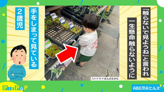 腕をしまって見る2歳児