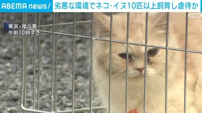 東京・尾久署