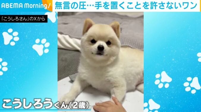 2歳のこうしろうくん