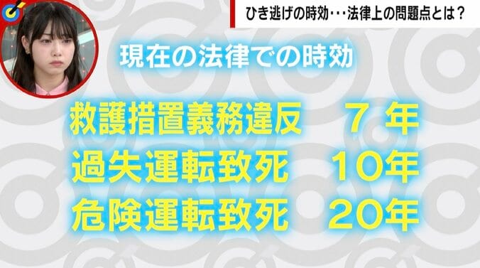 「逃げた時点で殺人ではないか」 未解決ひき逃げ事件の大きな壁となる「時効」 事故は故意にならない？ 2つの死亡事件から考える法律上の問題点 4枚目