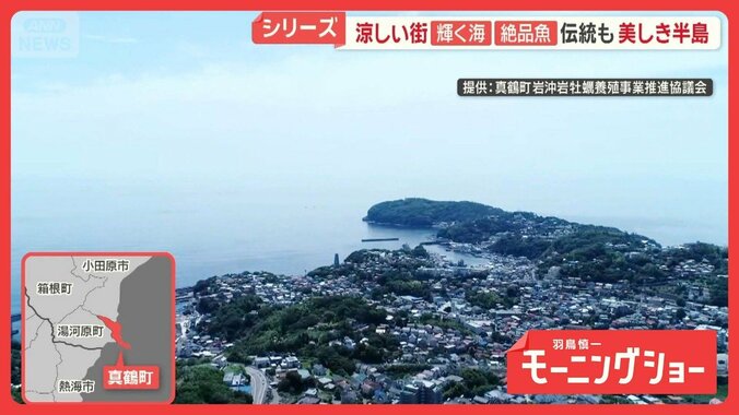 猛暑の中でも「涼しい街」 神奈川・真鶴町　都心から1時間　森と海「自然のエアコン」 1枚目