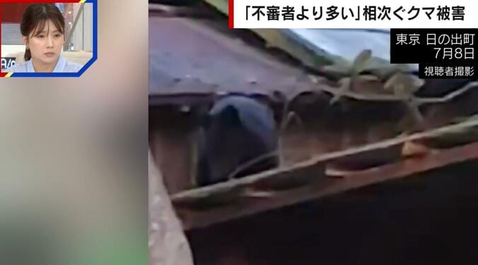 クマが東京の民家をよじ登りうろうろする様子（東京・日の出市）