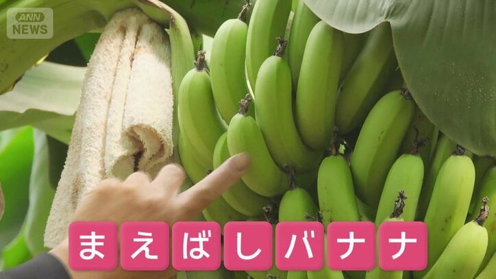 この道の駅の名物「奇跡の果実」