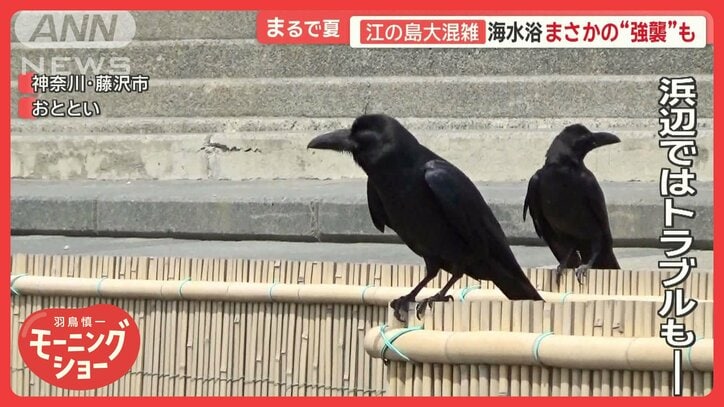 江の島は大混雑　トンビやカラス強襲も…関東で今年初真夏日　大阪・関西万博も暑い！